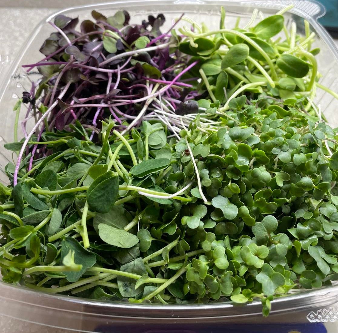 Microgreens Sampler 6 oz